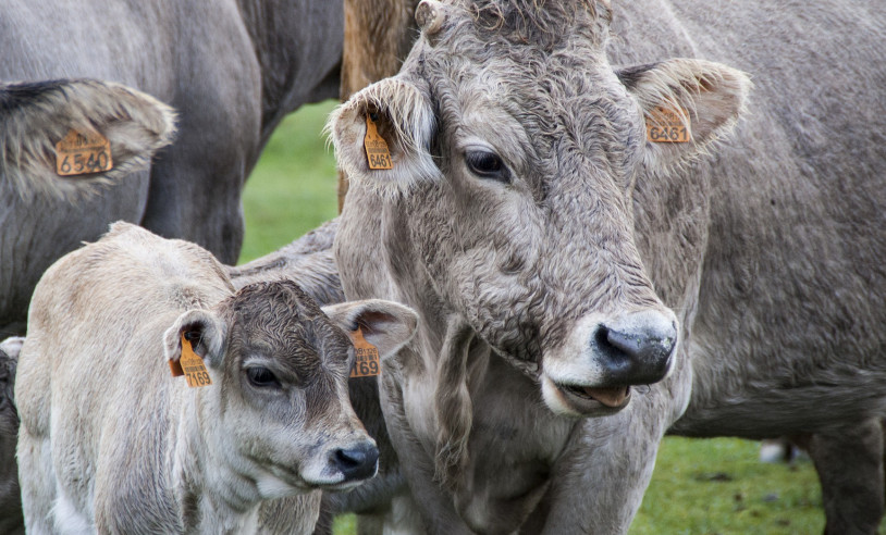 ASN Paraíba - Agência Sebrae de Notícias