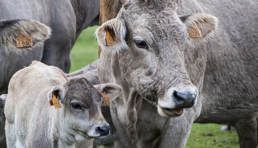 ASN Paraíba - Agência Sebrae de Notícias