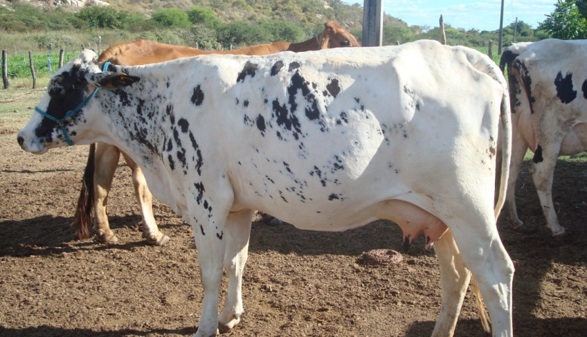 ASN Paraíba - Agência Sebrae de Notícias
