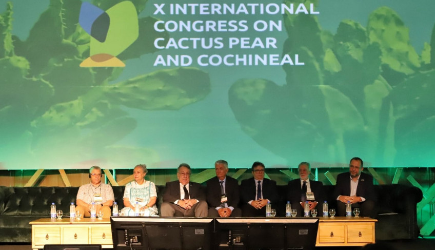 ASN Paraíba - Agência Sebrae de Notícias