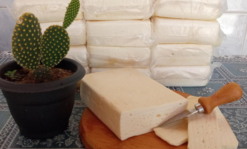 ASN Paraíba - Agência Sebrae de Notícias