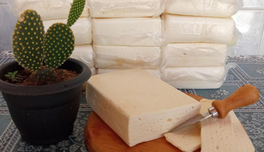 ASN Paraíba - Agência Sebrae de Notícias