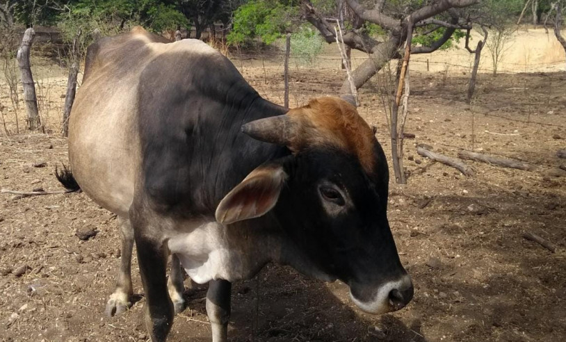 ASN Paraíba - Agência Sebrae de Notícias
