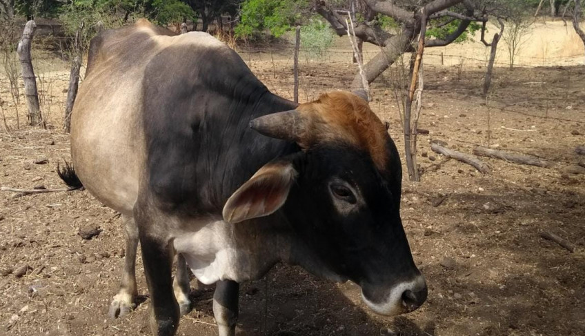 ASN Paraíba - Agência Sebrae de Notícias
