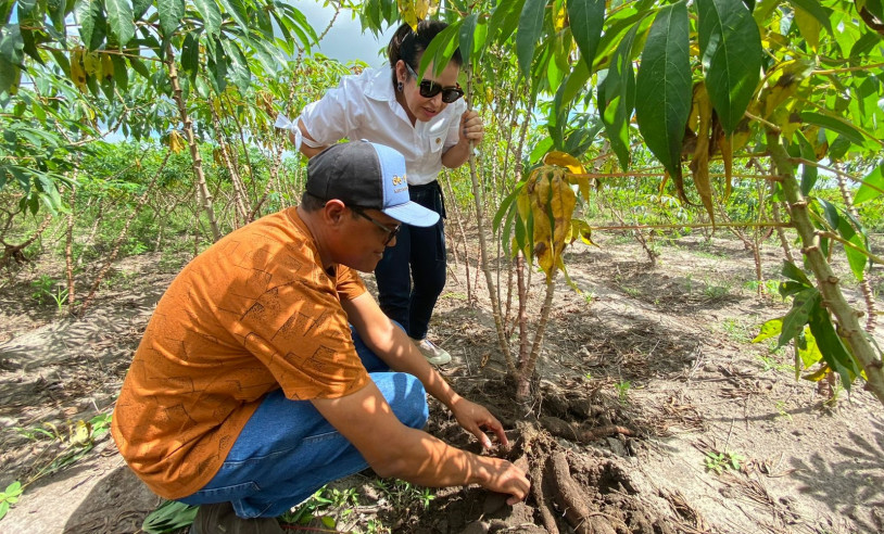 Dia do Agricultor