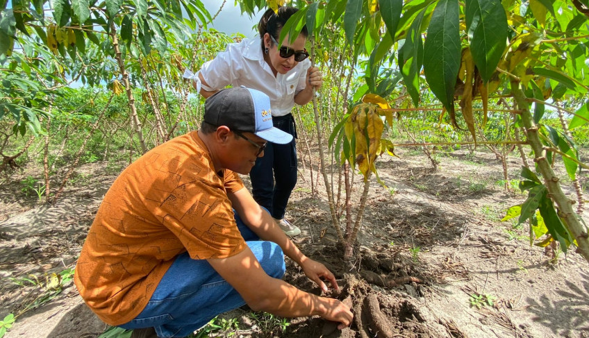 Dia do Agricultor