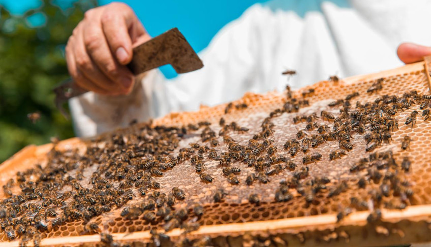 ASN Paraíba - Agência Sebrae de Notícias