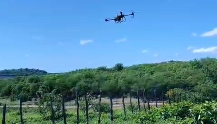 ASN Paraíba - Agência Sebrae de Notícias