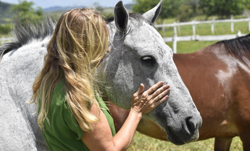 ASN Paraíba - Agência Sebrae de Notícias