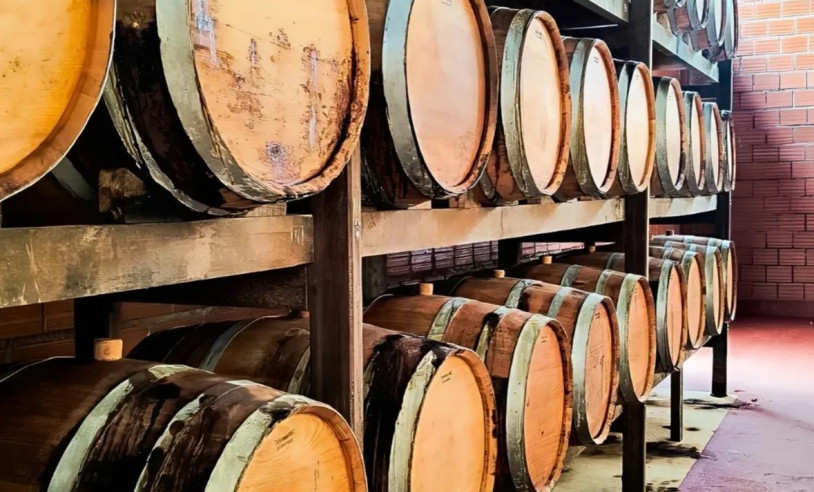 ASN Paraíba - Agência Sebrae de Notícias