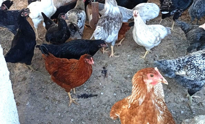 ASN Paraíba - Agência Sebrae de Notícias