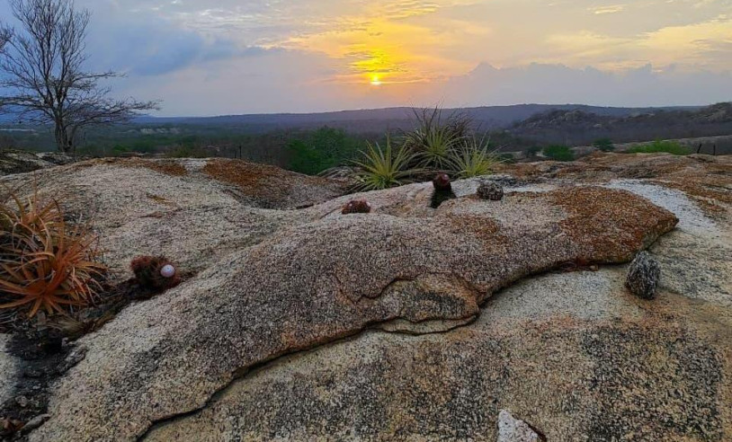 ASN Paraíba - Agência Sebrae de Notícias