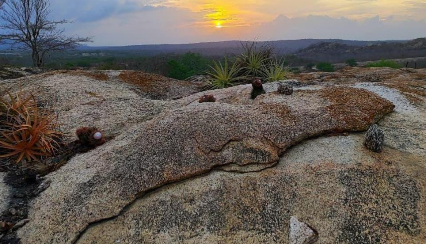 ASN Paraíba - Agência Sebrae de Notícias