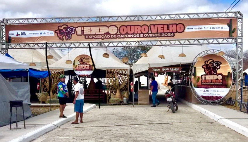 ASN Paraíba - Agência Sebrae de Notícias