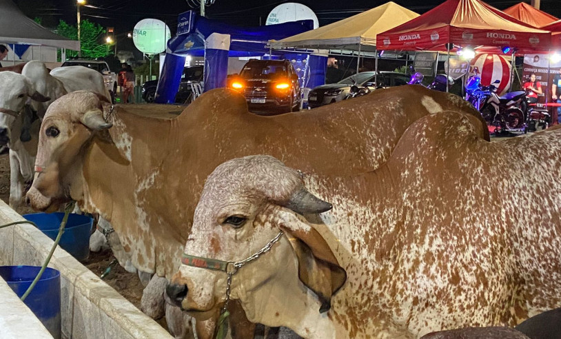 ASN Paraíba - Agência Sebrae de Notícias