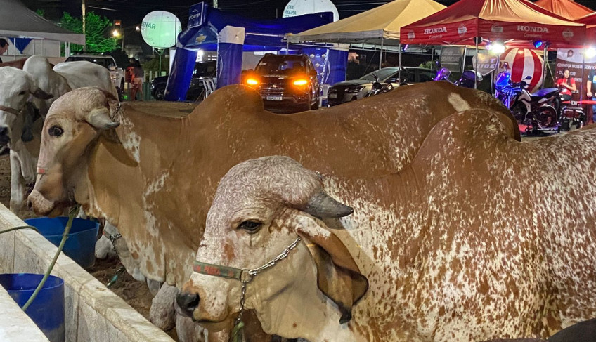 ASN Paraíba - Agência Sebrae de Notícias