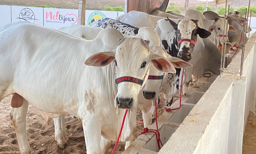 ASN Paraíba - Agência Sebrae de Notícias