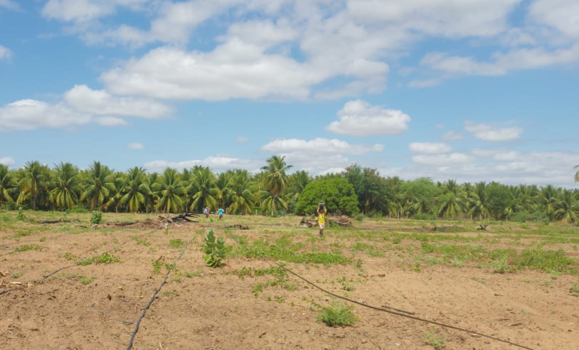 ASN Paraíba - Agência Sebrae de Notícias