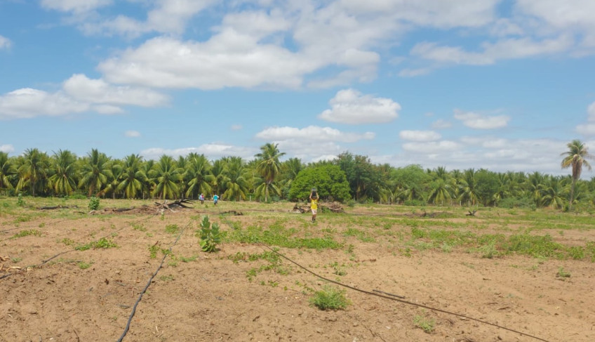 ASN Paraíba - Agência Sebrae de Notícias