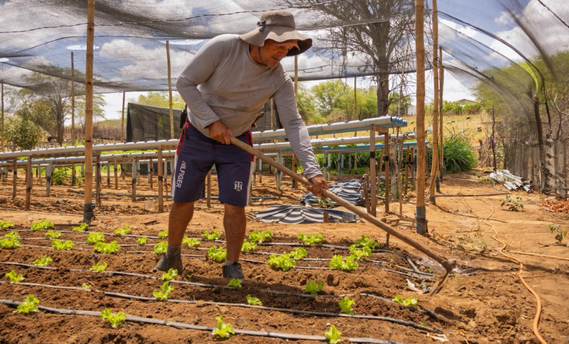 ASN Paraíba - Agência Sebrae de Notícias