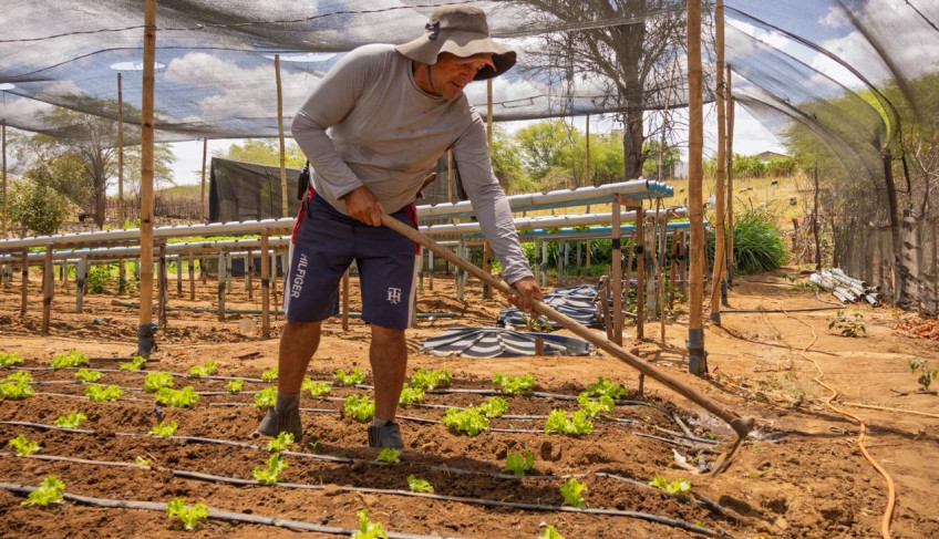 ASN Paraíba - Agência Sebrae de Notícias