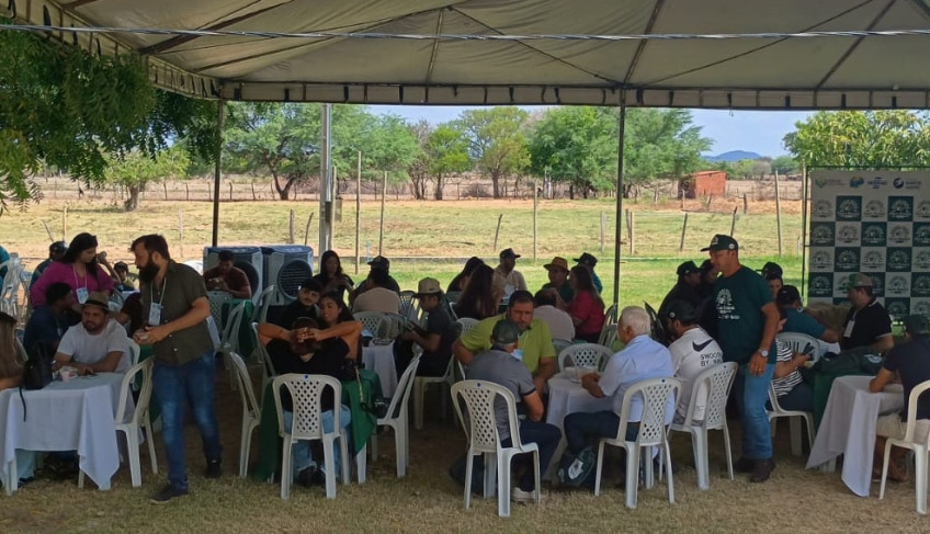 ASN Paraíba - Agência Sebrae de Notícias