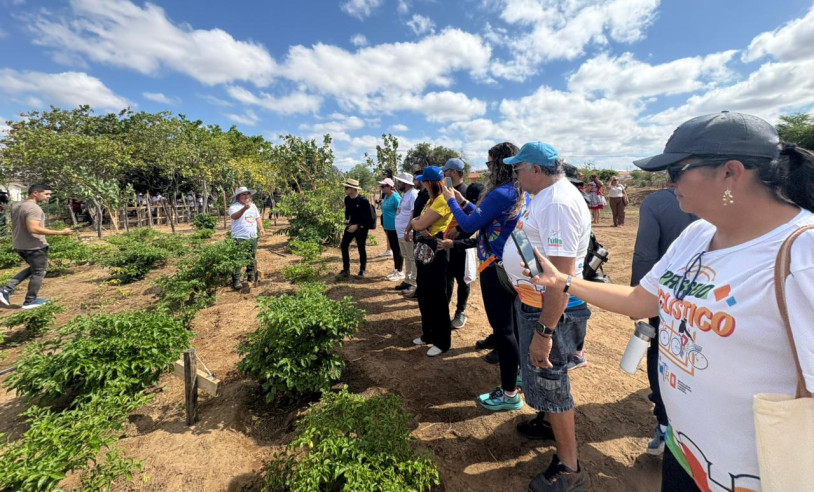 ASN Paraíba - Agência Sebrae de Notícias