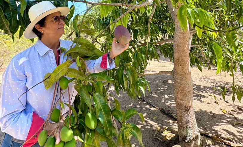 ASN Paraíba - Agência Sebrae de Notícias