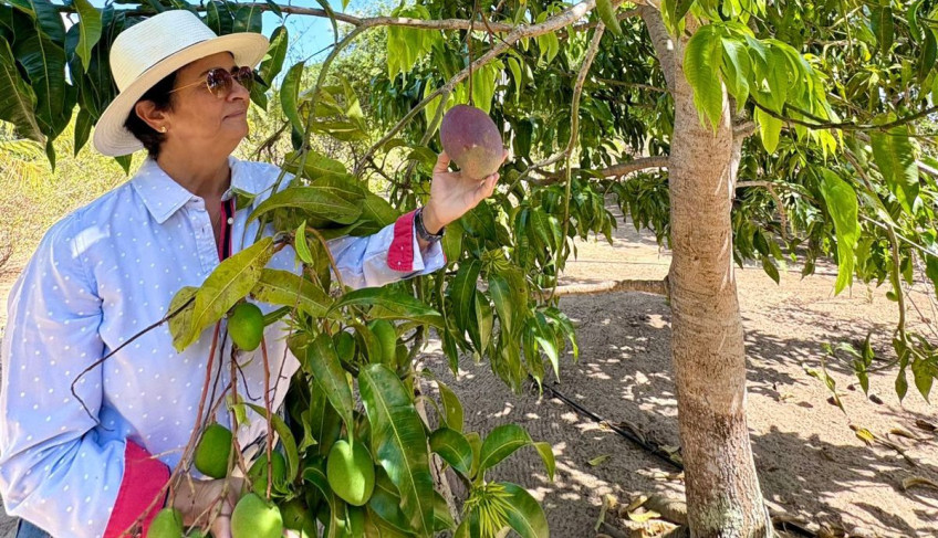 ASN Paraíba - Agência Sebrae de Notícias