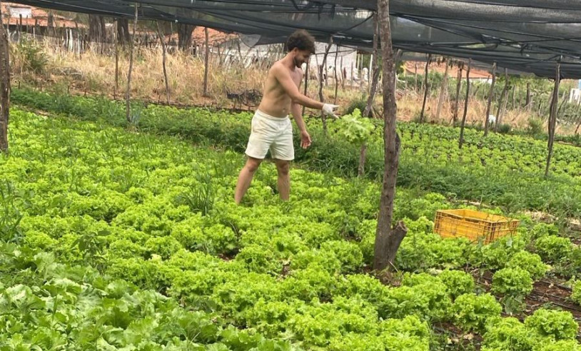 ASN Paraíba - Agência Sebrae de Notícias