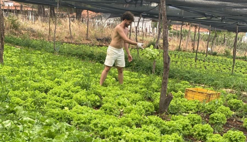 ASN Paraíba - Agência Sebrae de Notícias