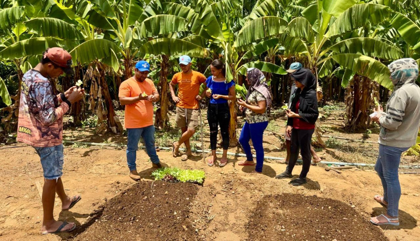 ASN Paraíba - Agência Sebrae de Notícias