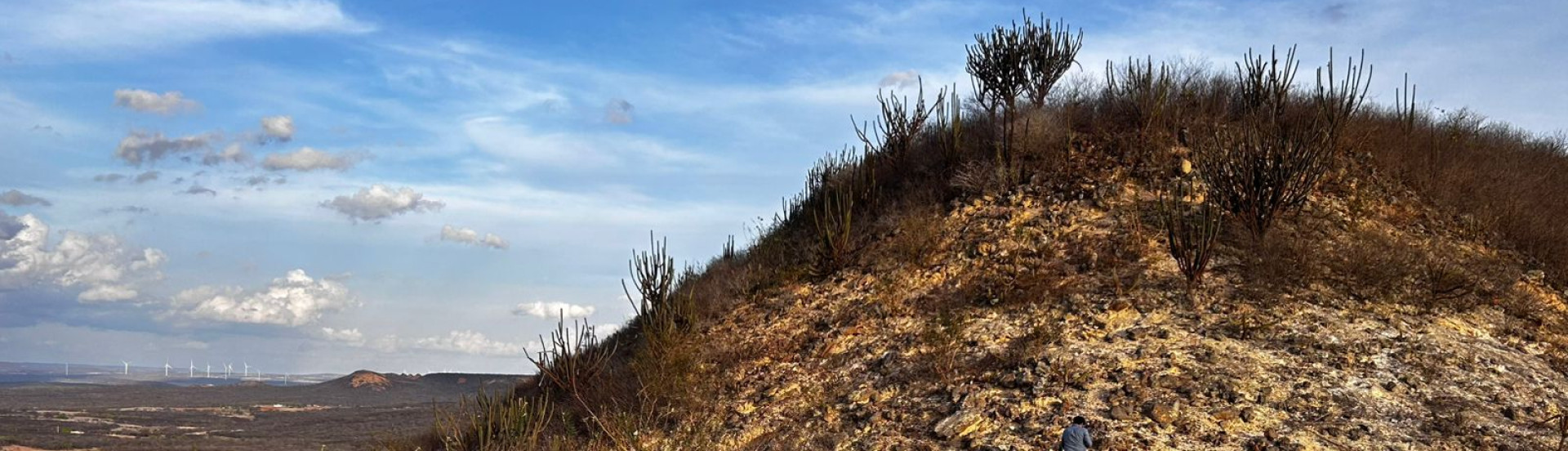 ASN Paraíba - Agência Sebrae de Notícias