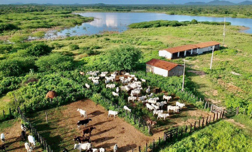 ASN Paraíba - Agência Sebrae de Notícias