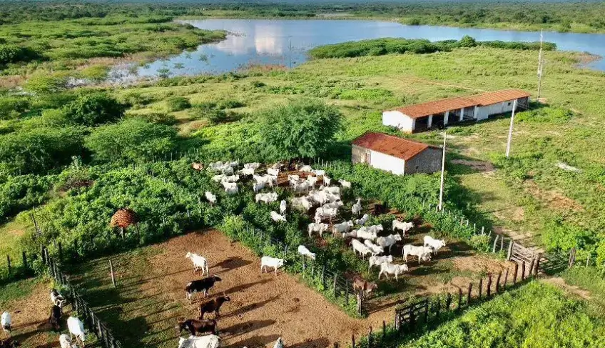 ASN Paraíba - Agência Sebrae de Notícias