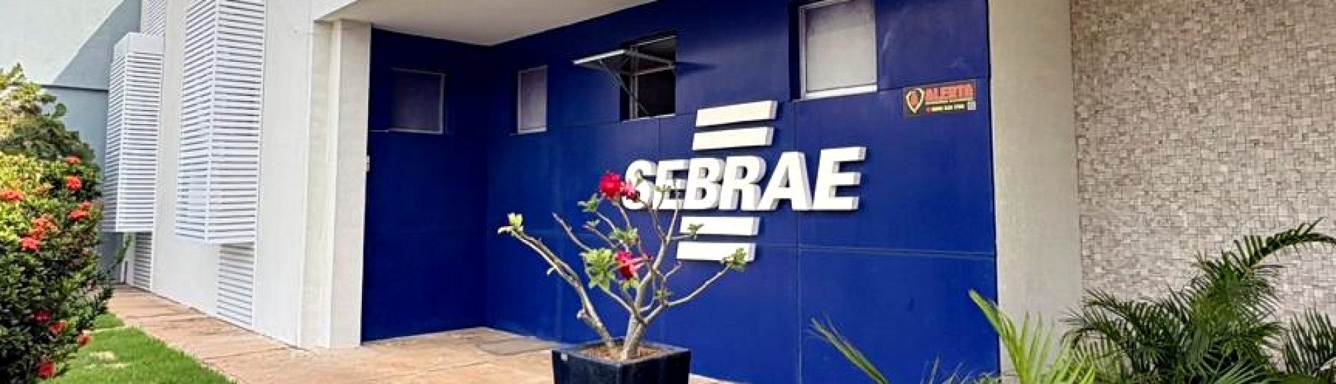 ASN Paraíba - Agência Sebrae de Notícias