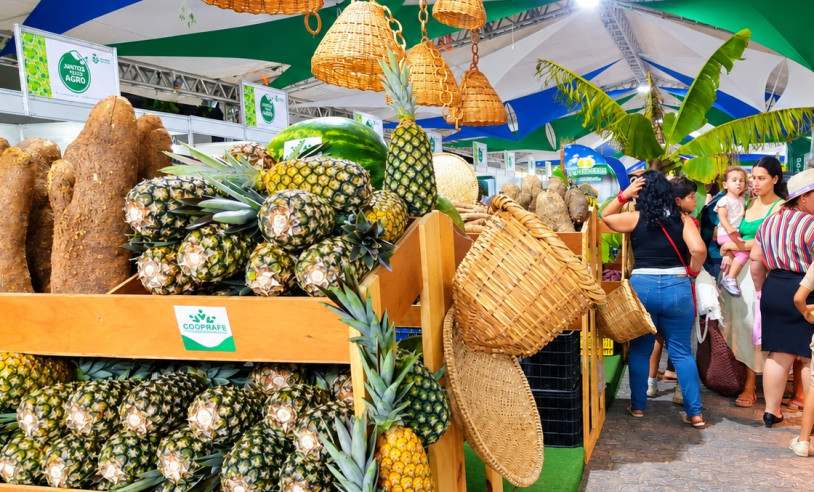 ASN Paraíba - Agência Sebrae de Notícias